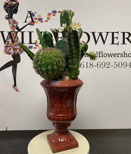 Distressed Urn with Permanent Cactus