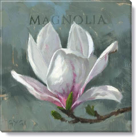 Magnolia 14 x 14 Canvas Print