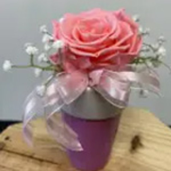 Single Preserved Rose in Ceramic Pot