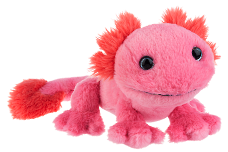 Pinkachu Axolotl