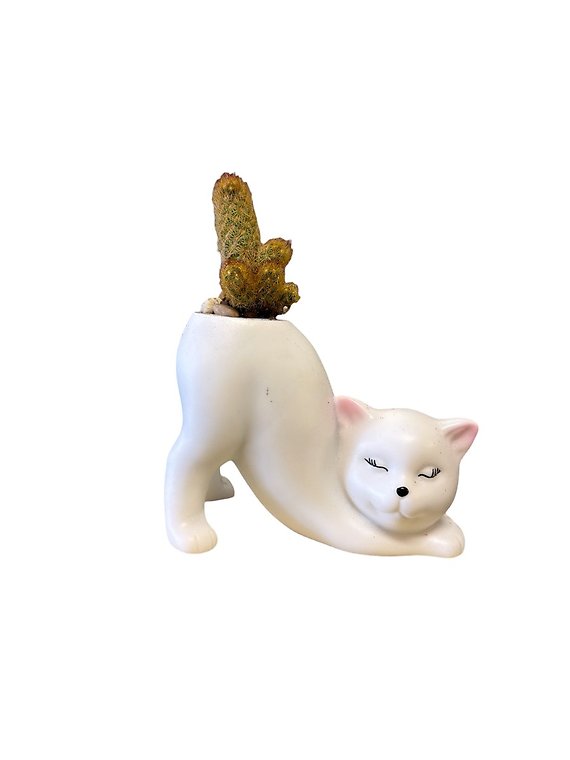 Cat Planter with Cactus