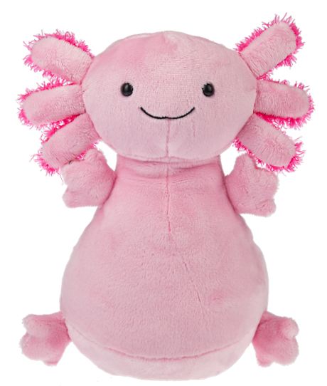 Axton Axolotl