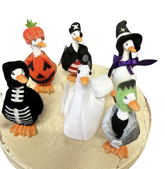 Tiny Geese in Halloween Costume