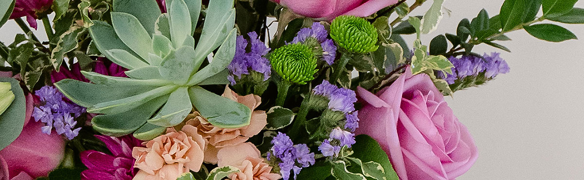 Admin Professional Day