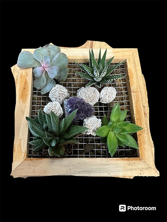 Wooden Planter with Succulents and Crystals