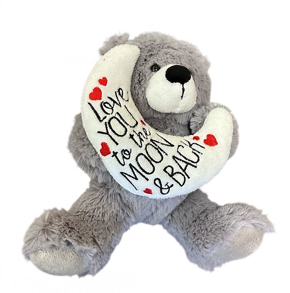 To the Moon and Back Bear