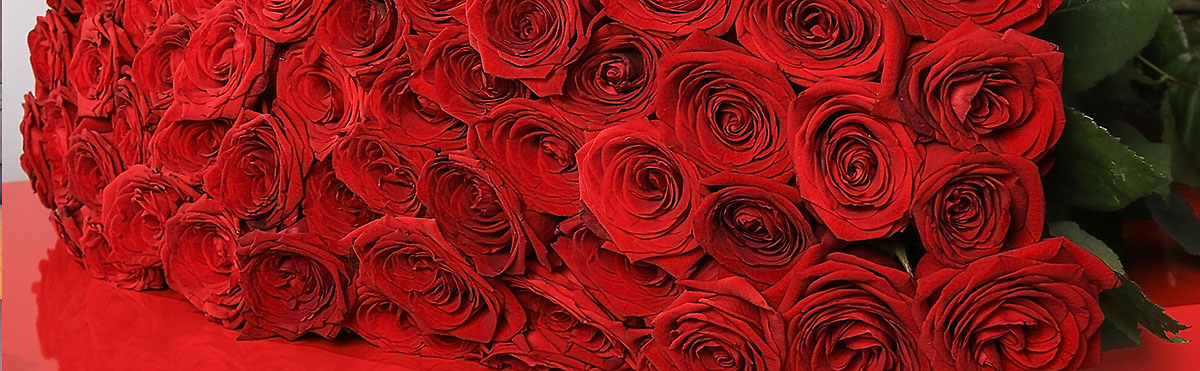 Valentine's Day  Flowers & Gifts[Pick up & Delivery Available]