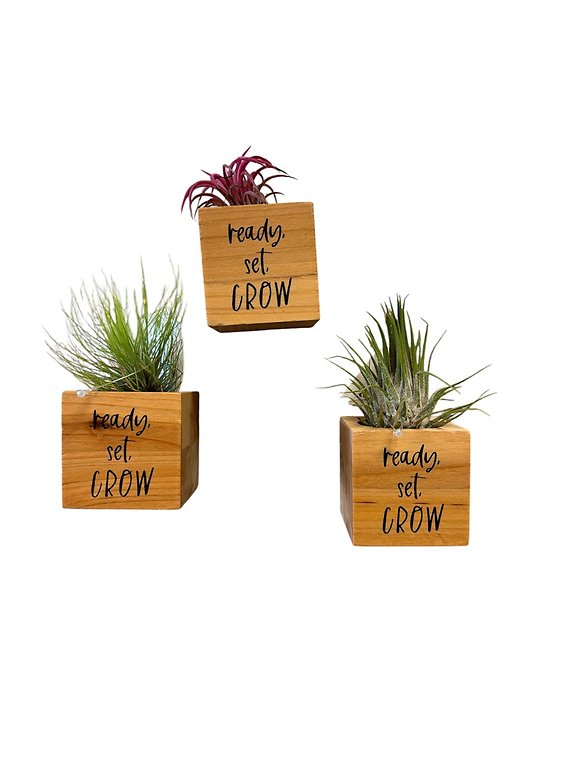 Wooden Box with Magnet and Airplant