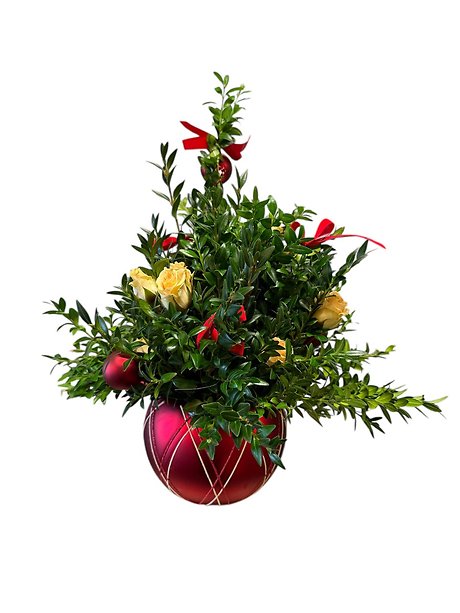 Boxwood Tree in Red Ornament Container