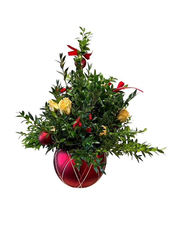 Boxwood Tree in Red Ornament Container