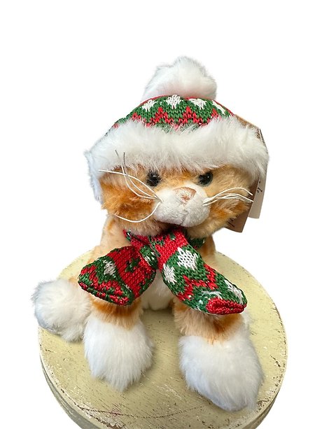Winter Whiskers Kitten