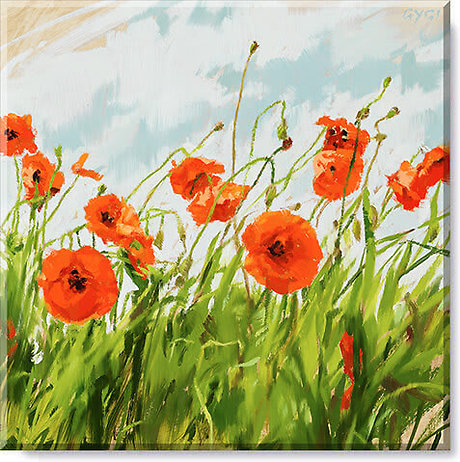 Orange Poppy 20 x 20 Canvas Print