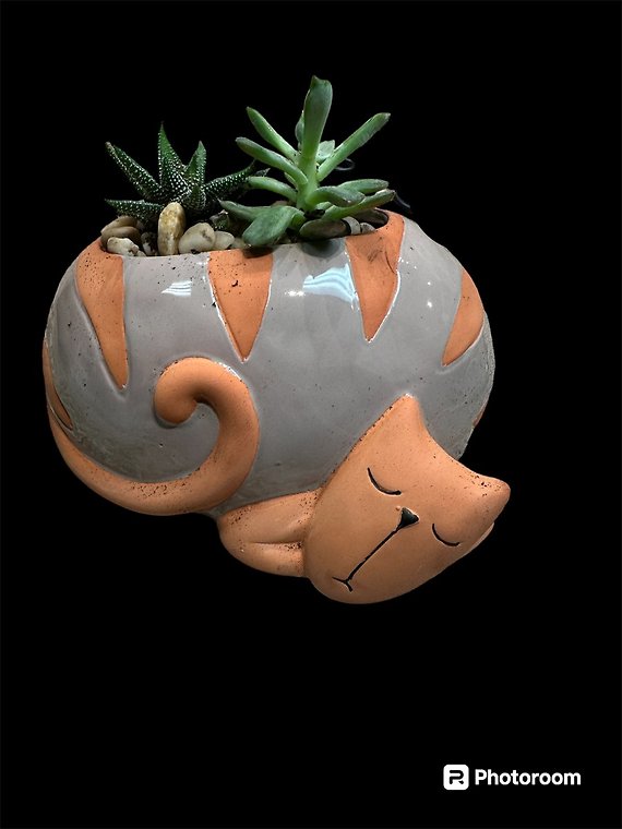 Cat Succulent Planter
