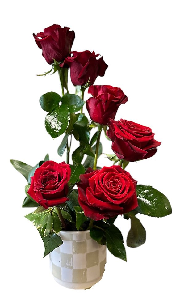 Sensational Six Roses