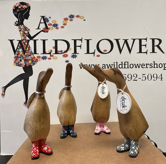 Flower Boot Ducklings