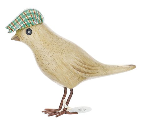 Dapper Garden Bird with Green Flat Cap