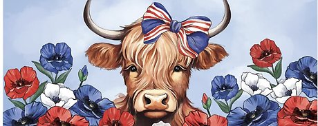 Patriotic Highland Cow Switch Mat