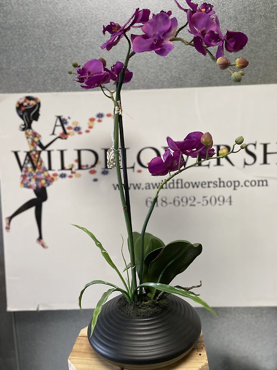 Permanent Botanical Purple Orchid Plant