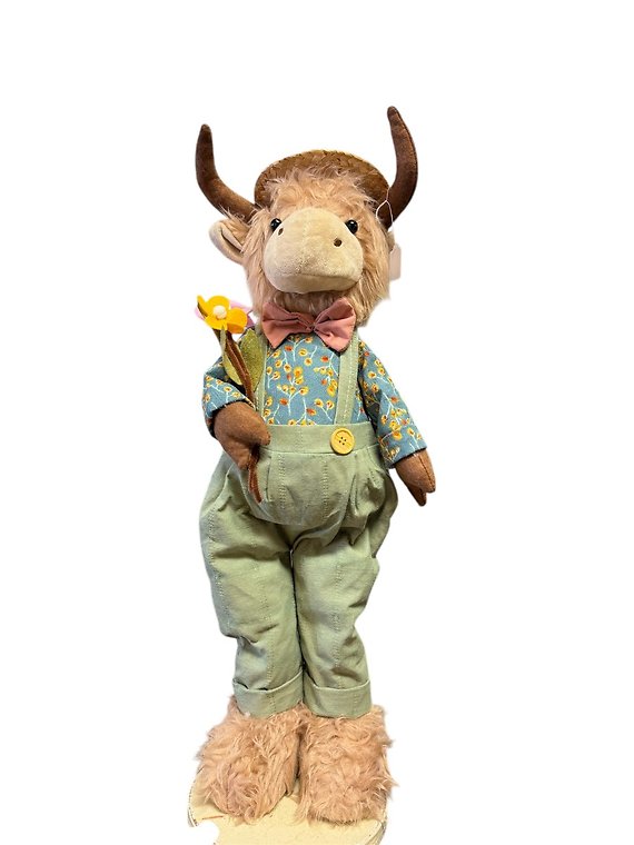 24 inch Male Highland Cow