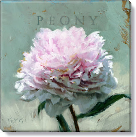 Pink Peony 14 x 14 Canvas Picture
