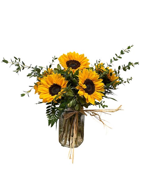 Sunflower Perfection