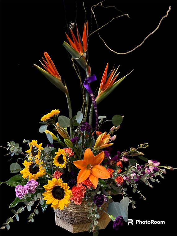 All Things Bright and Tropical