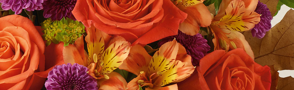 Autumn  Flowers & Gifts[Pick up & Delivery Available]