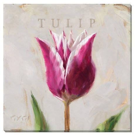 Pink Tulip 14 x 14 Canvas Print