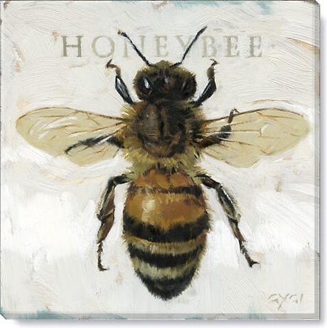 Honeybee 14 x 14 Canvas Print