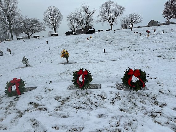 Decorated 20 inch Fresh Wreath